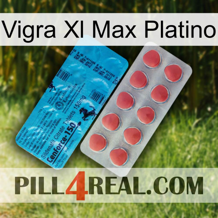 Vigra Xl Max Platinum new14